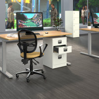 Bisley A4 home filer