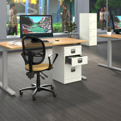Bisley A4 Home Filer