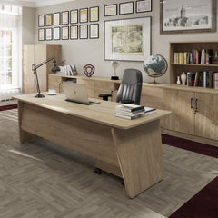 Anson Executive Credenza Storage