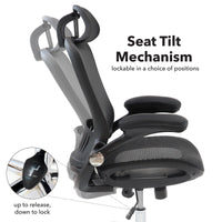 Curva high back mesh chair