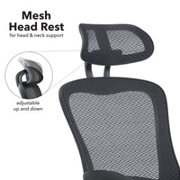 Curva high back mesh chair