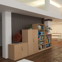 Deluxe double door cupboard