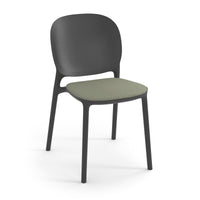Everly multi-purpose chair with seat pad (pack of 2)