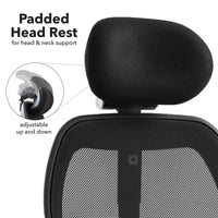 Sandro mesh back executive chair
