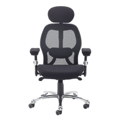 Sandro Mesh Back Executive Chair