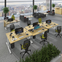 TR10 height settable desk